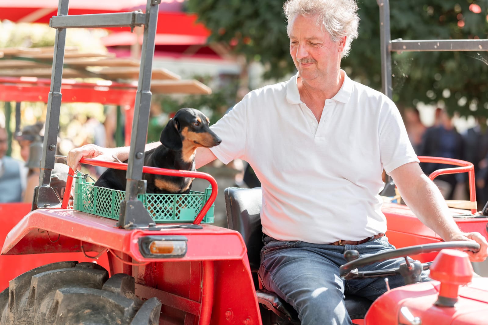 WhatsApp Bild 2024-05-25 um 21.50.35_948584a8